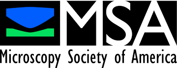 MSA - Microscopy Society of America